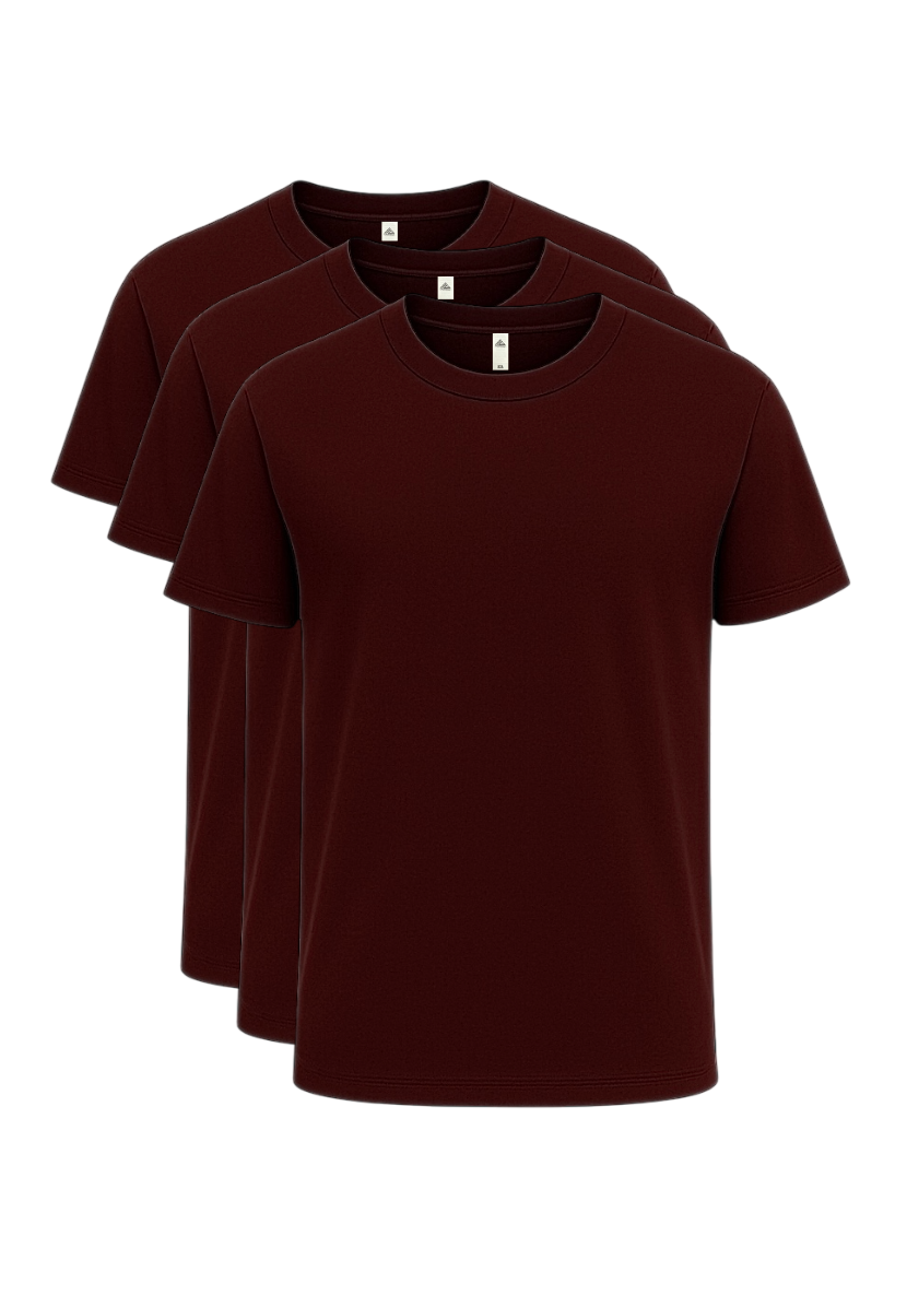 3-Pack Premium Short Sleeve T-Shirts – Mashh Gear